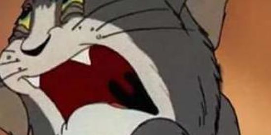 Imagem do grupo de WhatsApp Chocola Old 📺🍫