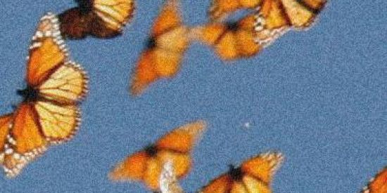 Imagem do grupo de WhatsApp Bate-papo @engaja_best 🦋