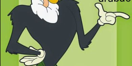 Imagem do grupo de WhatsApp ZK urubão💥🤏🏼😎