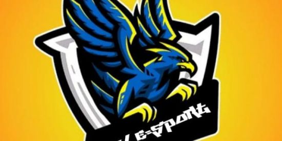 Imagem do grupo de WhatsApp X Treino- GAV_E-SPORT 🙅🏻‍♂️🙅🏻‍♂️🙅🏻‍♂️