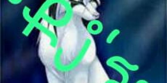 Imagem do grupo de WhatsApp Recrutamento •Քj'ร•