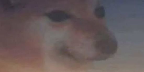 Imagem do grupo de WhatsApp Figurinha animada P.S