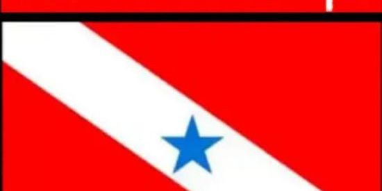 Imagem do grupo de WhatsApp Troca figurinhas PARÁ