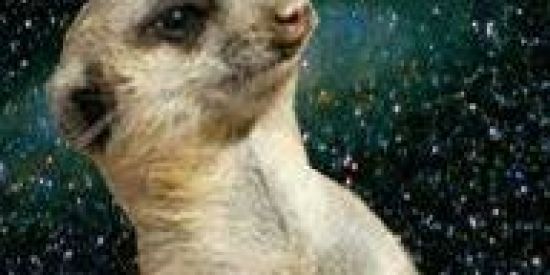 Imagem do grupo de WhatsApp Não existe depressão🤷‍♀️