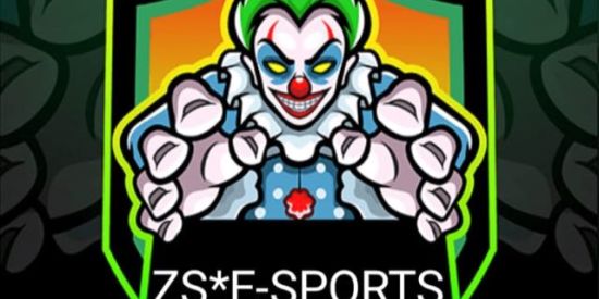 Imagem do grupo de WhatsApp ZS*E-SPORTS