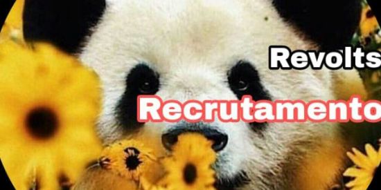 Imagem do grupo de WhatsApp Recrutamento 2🌹