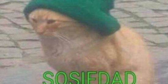 Imagem do grupo de WhatsApp shitpost de qualidade maxima😎