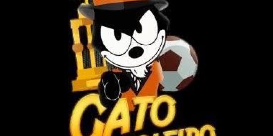 Imagem do grupo de WhatsApp GATO CARTOLEIRO🥇🥈🥉
