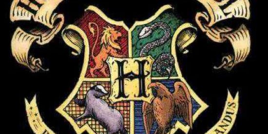 Imagem do grupo de WhatsApp RPG de Harry Potter