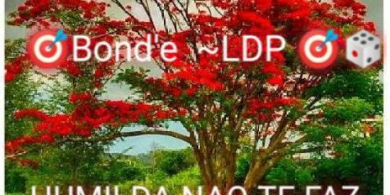 Imagem do grupo de WhatsApp 2eqp bond'e LD'P 🎯🎲