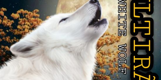 Imagem do grupo de WhatsApp ⚔️🐺THE WHITE WOLF🐺⚔️