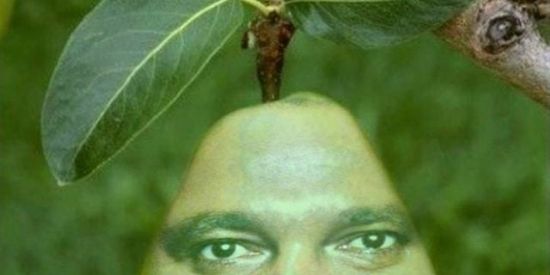 Imagem do grupo de WhatsApp Ednaldo pera