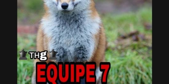 Imagem do grupo de WhatsApp 0️⃣7️⃣ 🦊PROJETO ♛тнg♛🦊