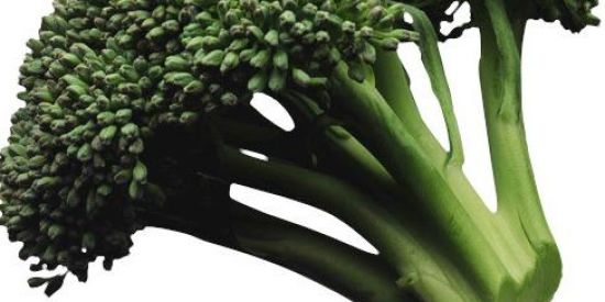 Imagem do grupo de WhatsApp Igreja