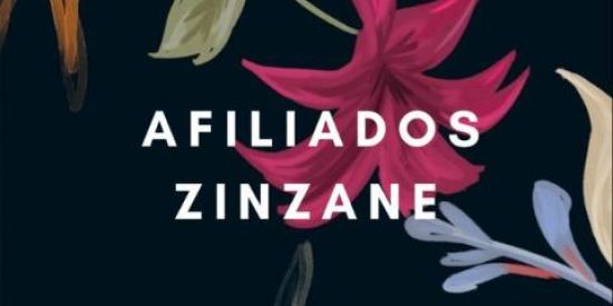 Imagem do grupo de WhatsApp Zinzane.