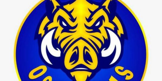 Imagem do grupo de WhatsApp 🎱 BALL POOL OS MOTTAS🎱