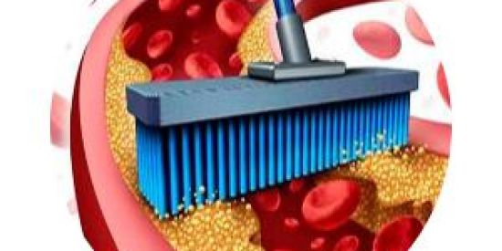 Imagem do grupo de WhatsApp Varrendo a gordura