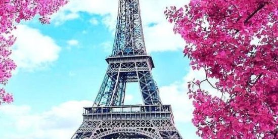 Imagem do grupo de WhatsApp 01 |•| Projeto Spring1🌹