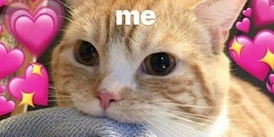 Imagem do grupo de WhatsApp 🔥💕pop star's🔥💕