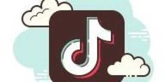 Imagem do grupo de WhatsApp Tik Tok