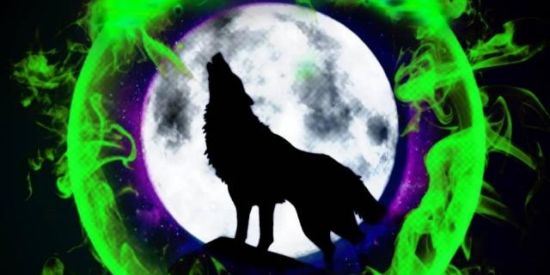 Imagem do grupo de WhatsApp 5🏅♚The Winners ♚🏅