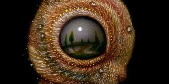 Imagem do grupo de WhatsApp Hybrid School [Ficha] RPG