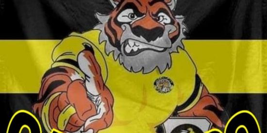 Imagem do grupo de WhatsApp TGT CADASTRO OFICIAL