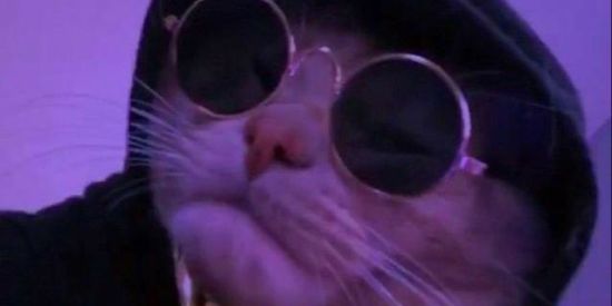 Imagem do grupo de WhatsApp Divulga Instagram