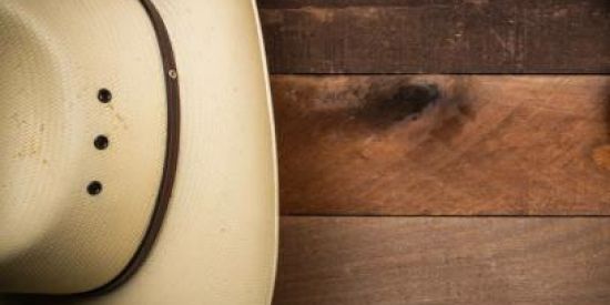 Imagem do grupo de WhatsApp Vamo pro rodeio...❤🐂🇧🇷