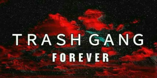 Imagem do grupo de WhatsApp 🌑🌹t r a s h  g a n g🌹🌑