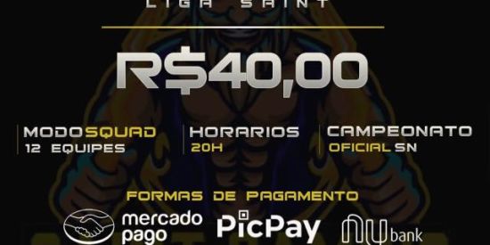 Imagem do grupo de WhatsApp DIÁRIO DA SAINT GAMING 💸🚀