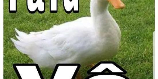 Imagem do grupo de WhatsApp Só Vídeos Top!!!