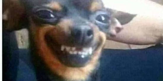 Imagem do grupo de WhatsApp 🌴Ꮇ፤᮱び፤ᜰĦ〄メ🍸