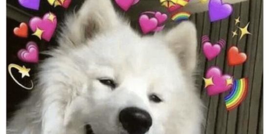 Imagem do grupo de WhatsApp Duelo de figurinhas😈