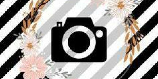 Imagem do grupo de WhatsApp Ganhar seguidores