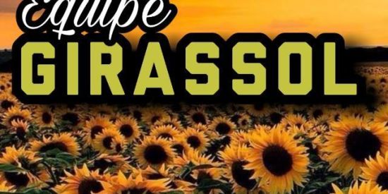 Imagem do grupo de WhatsApp 🌻 treinamento||Girassol🌻