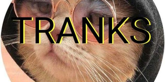 Imagem do grupo de WhatsApp Tranks01