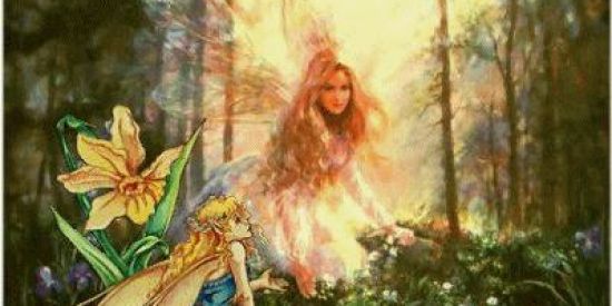 Imagem do grupo de WhatsApp RECRUTAMENTO FWD✨