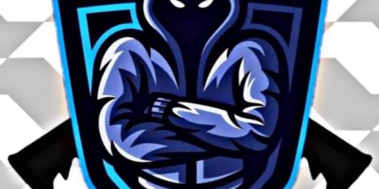 Imagem do grupo de WhatsApp RECRUTAMENTO DA GUILDA❤️✌️