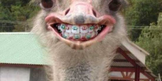 Imagem do grupo de WhatsApp [ Clã da Zueira ] Sem Mimimi