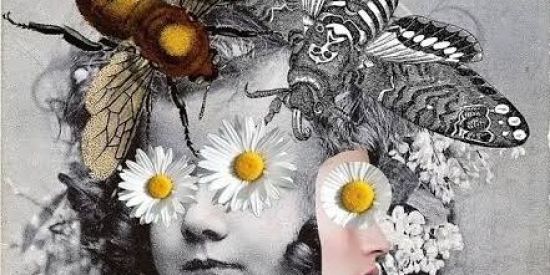 Imagem do grupo de WhatsApp Arte e produção artística