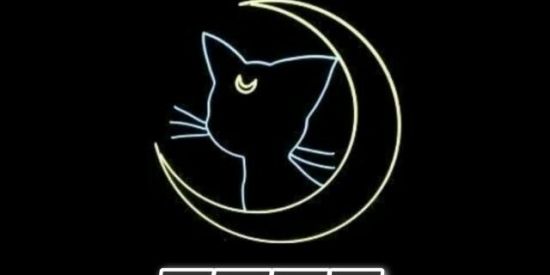 Imagem do grupo de WhatsApp 🌹♥️Recrutamento cats♥️🦄