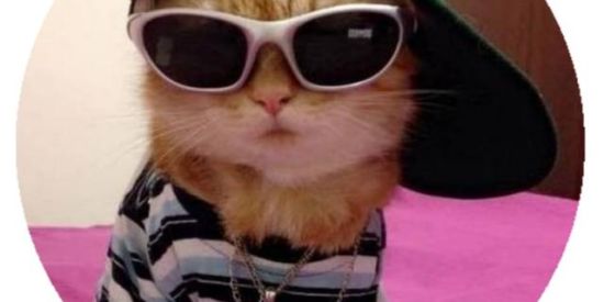 Imagem do grupo de WhatsApp Crescedo juntos