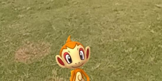 Imagem do grupo de WhatsApp SHIT DO MONKEY