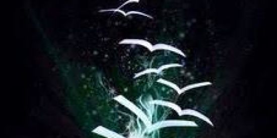 Imagem do grupo de WhatsApp Leitura em dia