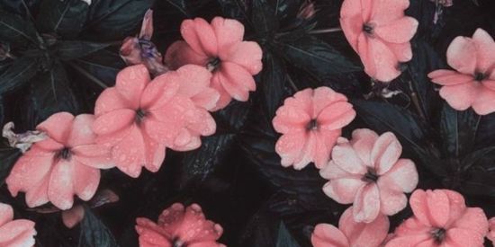 Imagem do grupo de WhatsApp Girl Group dúvidas