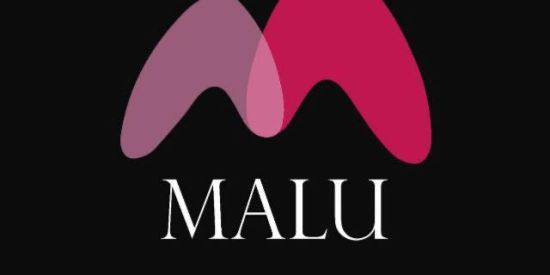 Imagem do grupo de WhatsApp Malu Atacado 🛍 (Grupo 1️⃣)