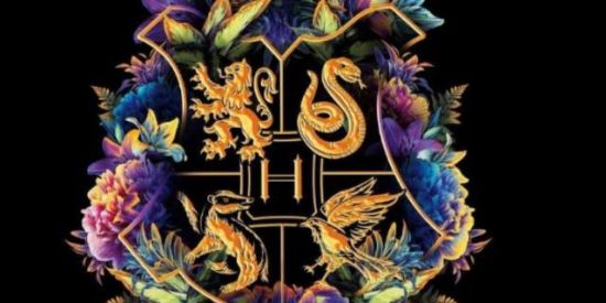 Imagem do grupo de WhatsApp 2️⃣🦁єρl'ร🦁||🧙🏻‍♀️Hogwarts🧙🏻‍♂️