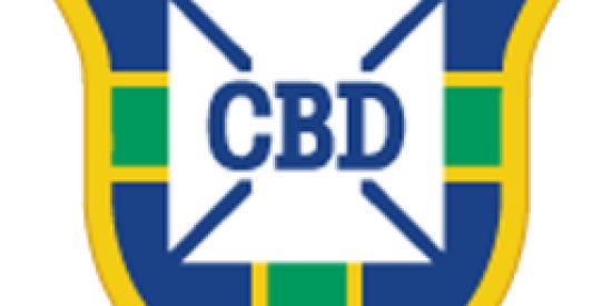 Imagem do grupo de WhatsApp Brasileirão (A e B)