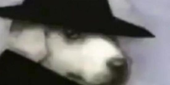 Imagem do grupo de WhatsApp Euclaciano Memes -Shitpost-